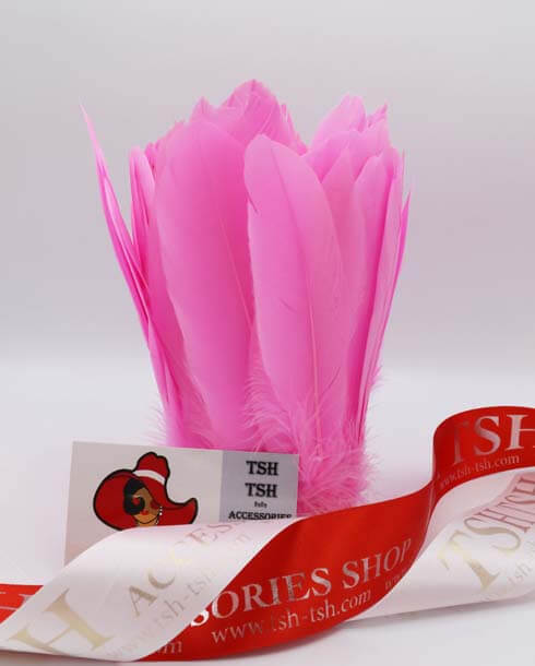 Feather Fringe Sewing Trim Pink