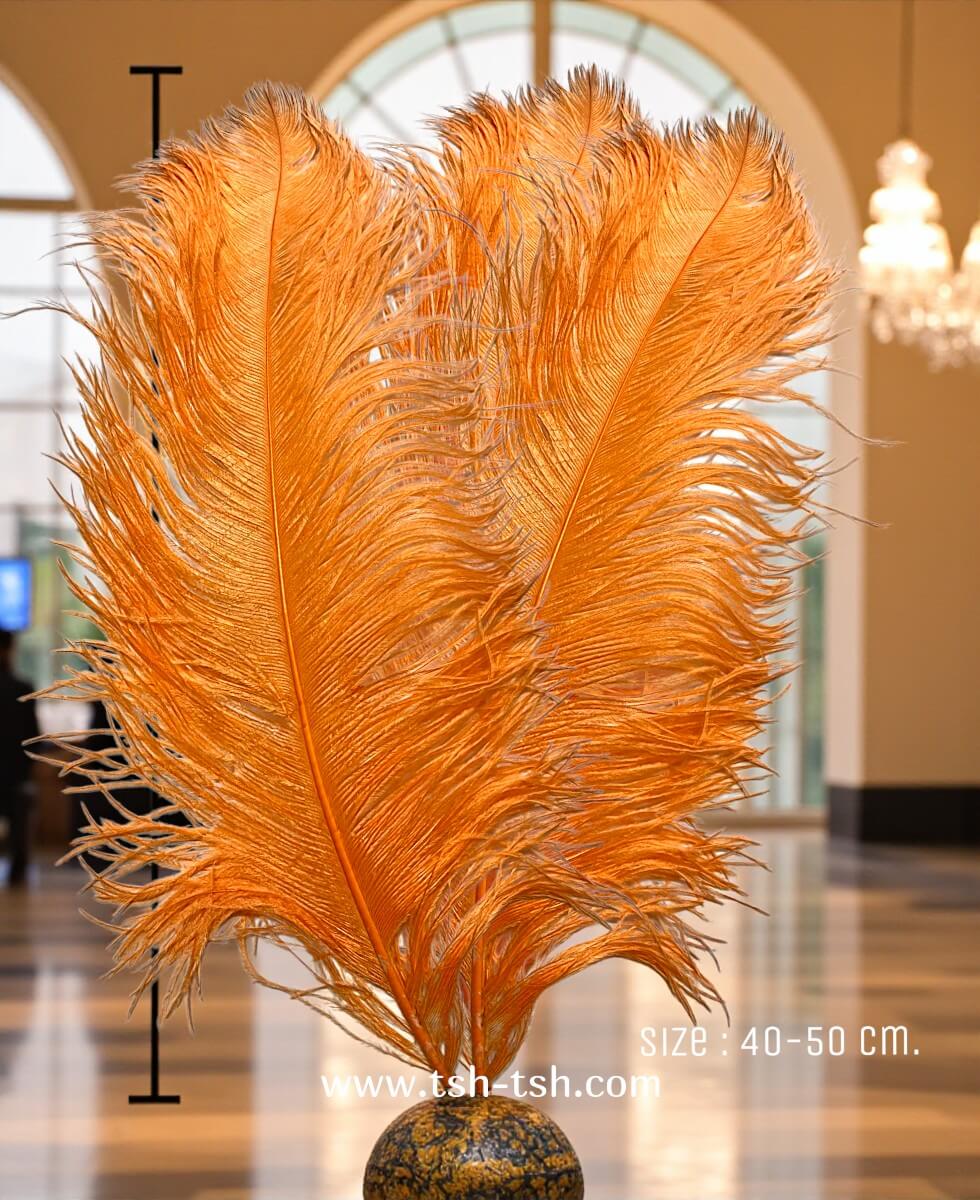 Ostrich plumes, ostrich drabs Size 40-50 cm. (Large Size) Orange Color