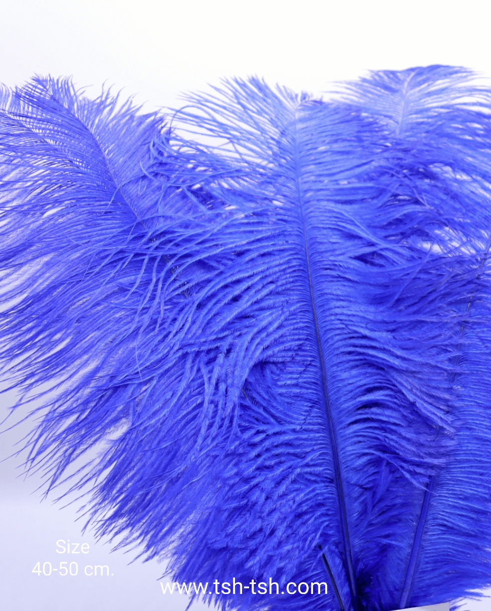 Ostrich plumes, ostrich drabs Size 40-50 cm. (Large Size) Royal Blue Color