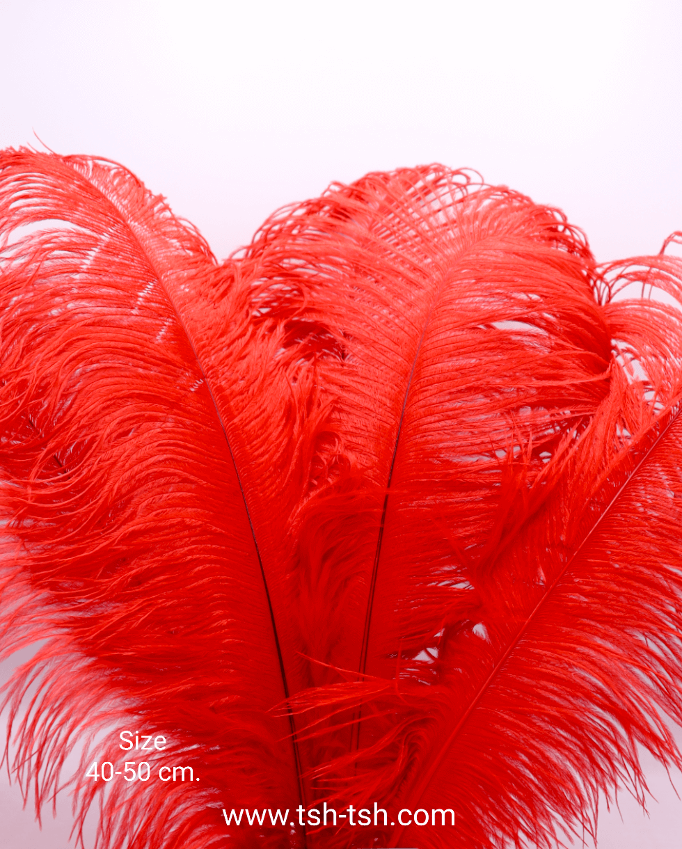Ostrich plumes, ostrich drabs Size 40-50 cm. (Large Size) Red Color