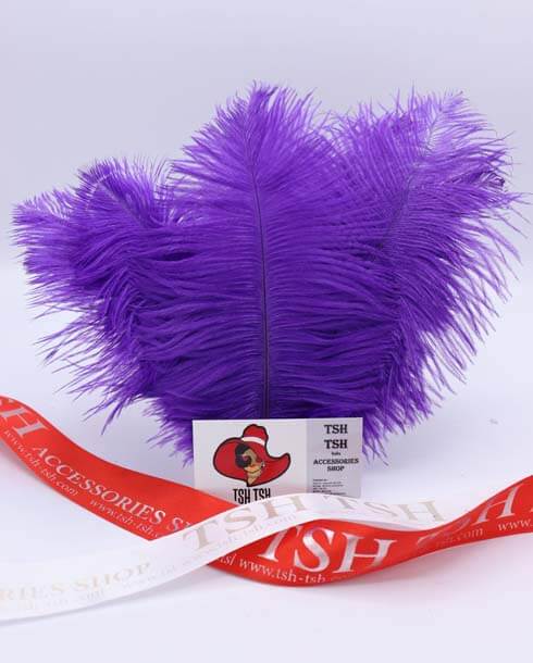 Ostrich plumes, ostrich drabs Size 20-25 cm. (Small Size) Purple Color