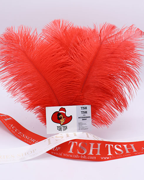 Ostrich plumes, ostrich drabs Size 20-25 cm. (Medium Size) Red Color