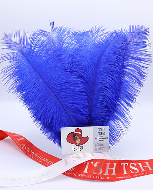 Ostrich plumes, ostrich drabs Size 20-25 cm. (Medium Size)Royal Blue Color