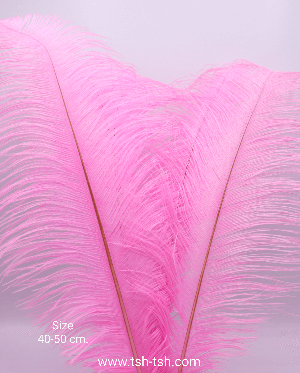 Ostrich plumes, ostrich drabs Size 40-50 cm. (Large Size) Pink Color