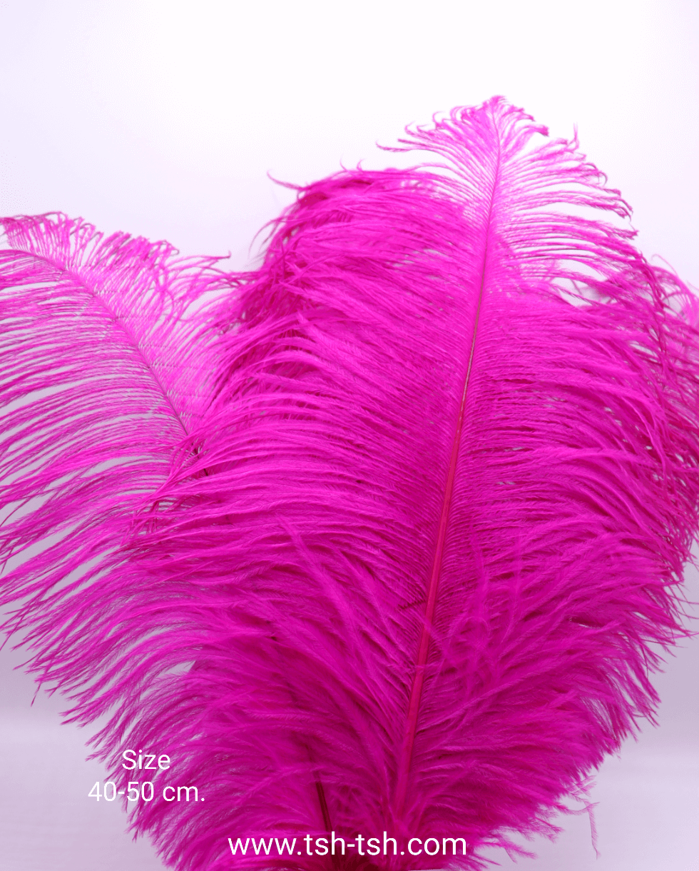 Ostrich plumes, ostrich drabs Size 40-50 cm. (Large Size) Fuchsia Color