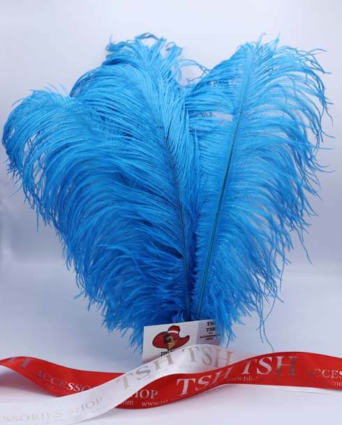 Ostrich plumes, ostrich drabs Size 40-50 cm. (Large Size) Ocean Blue Color