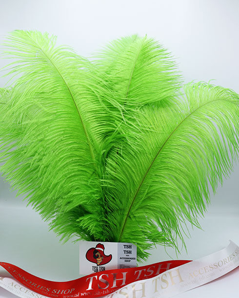 Ostrich plumes, ostrich drabs Size 40-50 cm. (Large Size) Light Green Color