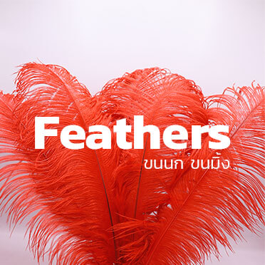 ขนนก ขนมิ้ง